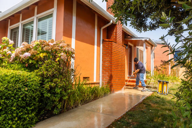 Best Roof Pressure Washing  in Long Branch, VA